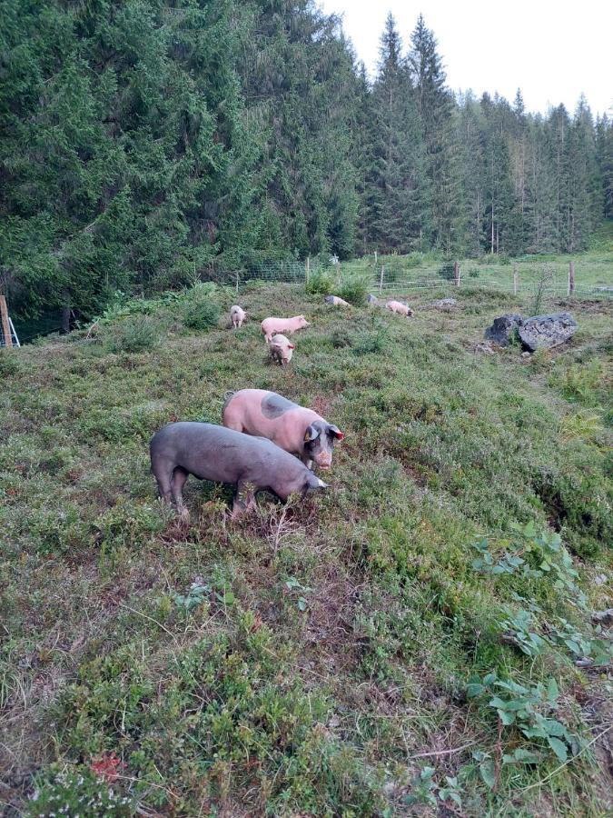 Bergseegut Chalet Und Apartment Ваграйн Екстериор снимка